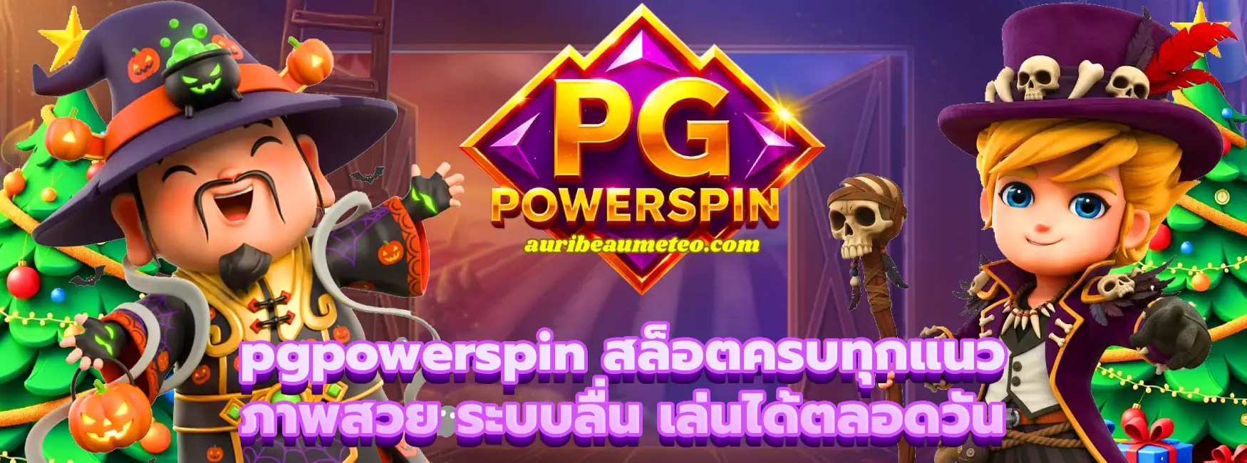 pgpowerspin